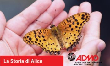 La storia di Alice, per la seconda volta