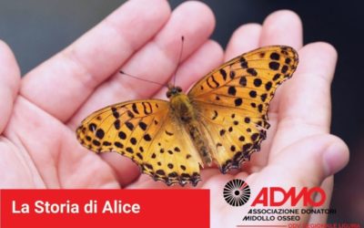 La storia di Alice, per la seconda volta